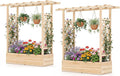 Raised Garden Bed with Trellis, Wood Planter Box w/Trellis, Hanging Roof, Drainage Holes, Freestanding Planter Raised Bed for Outdoor Climbing Plants Flowers, Patio Yard Balcony (2, Natural)