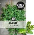 Tulsi Holy Basil – 3,250 Premium Seeds for Planting – Aromatic, Sacred, Vigorous Growth for the 2026 Season – 1 Gram Pouch