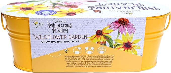 Buzzy Seeds Wildflower Garden Grow Kit, All-in-One Indoor Seed Starter Set with Non-GMO Mix of Coneflowers and Black Eyed Susans with a Decorative Planter - Great Gift for Gardeners, Gardening Project
