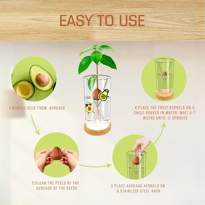 Avocado Seed Starter Vase - Avocado Tree Growing Kit with Base and Sticker, Glass Avocado Pit Sprouting Plant Pot Gift for Women, Gardening Lovers Home Office Table Decoration, Indoor No Seed