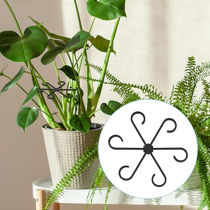 4pcs Plant Stem Support, Climbing Houseplant Leaf Support Ring Plant Climbers Stem Holders Plants Climbing Rack Plant Flower Gardening Growth Cultivation Accessories Tools(Black)