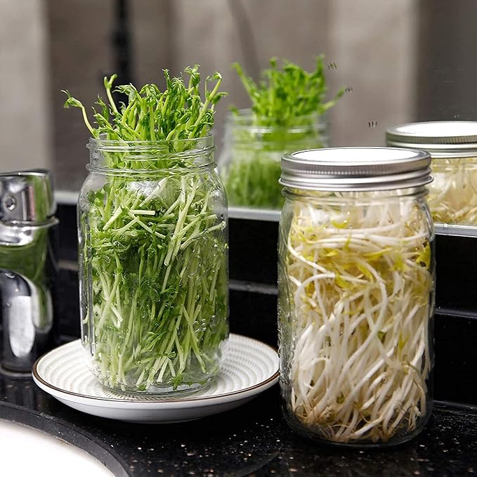 Sprouting Jar Kit, Wide Mouth Quart Mason Jars with Screen Sprout Lids & Stand, Seeds Germination Growing Kit, Seed Sprouter Set for Growing Organic Broccoli Alfalfa Mung Microgreens Bean, 2 Pack