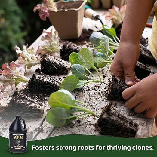 Clonex Clone Solution, Professional-Grade Nutrient Formula for Seedlings, Cuttings, and General Use. Feeds Young Plants, Helps Promote Growth & Rapid Root Development - 1 Quart