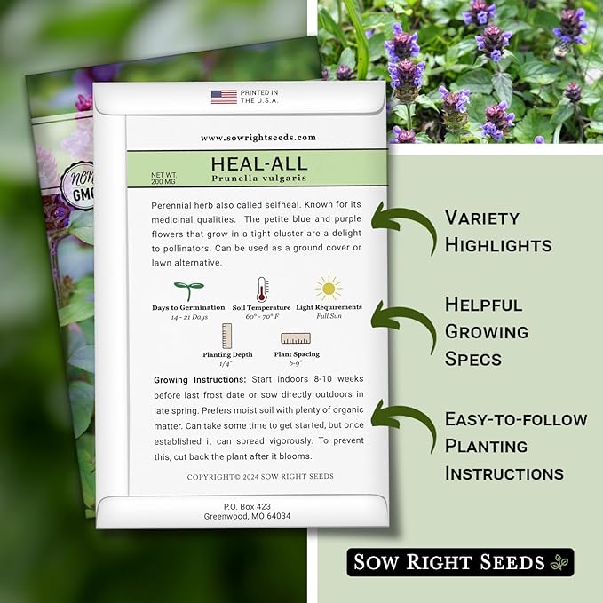 Sow Right Seeds - Heal-All Seeds for Planting - Self Heal Prunella Vulgaris - Non-GMO Heirloom Medicinal Herb - Grow Your Own Wildflower Garden - Attracts Pollinators - Easy to Grow in Gardens (3)