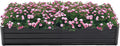 Galvanized Raised Garden Bed 6x3x1ft Outdoor Planter Box Galvanized Steel Garden Bed Kit for Vegetables, Flowers, Herbs and Succulents Black