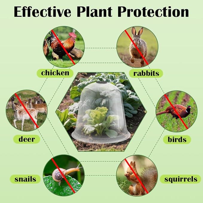 13 Inch Humidity Domes Garden Cloches for Plant Protection 10 Pack, Plant Covers Freeze Protection, Protectors from Animals, Garden Clear Plant Cover with Ventilation Holes