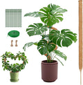 1 Pack 63Inch Bendable Tall Moss Pole for Monstera, 160cm Plant Support Moss Sticks Stakes for Climbing Indoor Plants, Pothos & Philodendron - Coir/Coco Plant Trellis for Potted Climbers & Houseplants