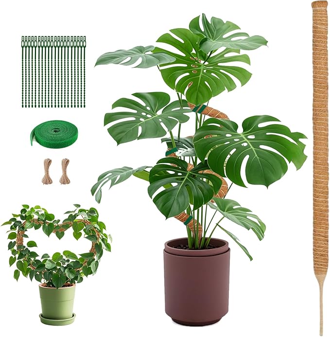 1 Pack 63Inch Bendable Tall Moss Pole for Monstera, 160cm Plant Support Moss Sticks Stakes for Climbing Indoor Plants, Pothos & Philodendron - Coir/Coco Plant Trellis for Potted Climbers & Houseplants