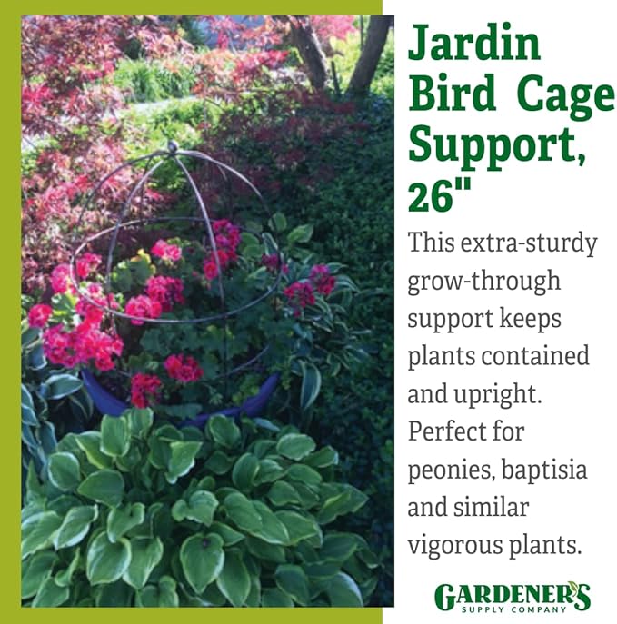 Gardener’s Supply Company Jardin Bird Cage Plant Support | Large Sturdy Grow-Through Steel Flower Trellis Garden Decor | Best for Peonies, Baptisia, Sedum & Other Perennials - 20-1/4" x 26" H
