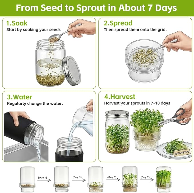 Seed Sprouting Kit 2 Wide Mouth Mason Jars with Stainless Steel Screen Lids & Drip Covers Complete Sprouter Growing Kit for Broccoli, Alfalfa, Mung Beans Home Gardening Gift for Adults & Kids