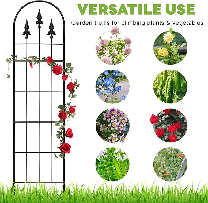 2 Pack 57.8" H x13 W Garden Trellis for Climbing Plants Outdoor, Rustproof Arched Metal Rose Trellis for Outdoor Indoor Roses Clematis Potted Climbing Plants Vines Flowers Decorative, Black