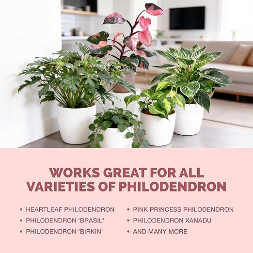 TPS NUTRIENTS Philodendron Fertilizer for All Philodendron and Tropical Shade Plants, Liquid Plant Food 8 oz (250mL)