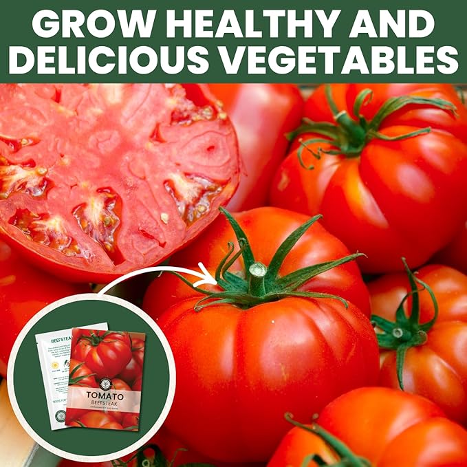 Beefsteak Tomato Seeds – Over 400 Premium Heirloom Seeds for Planting for The 2026 Season – Juicy, Flavor-Rich Garden Favorite – 1 Gram Pouch