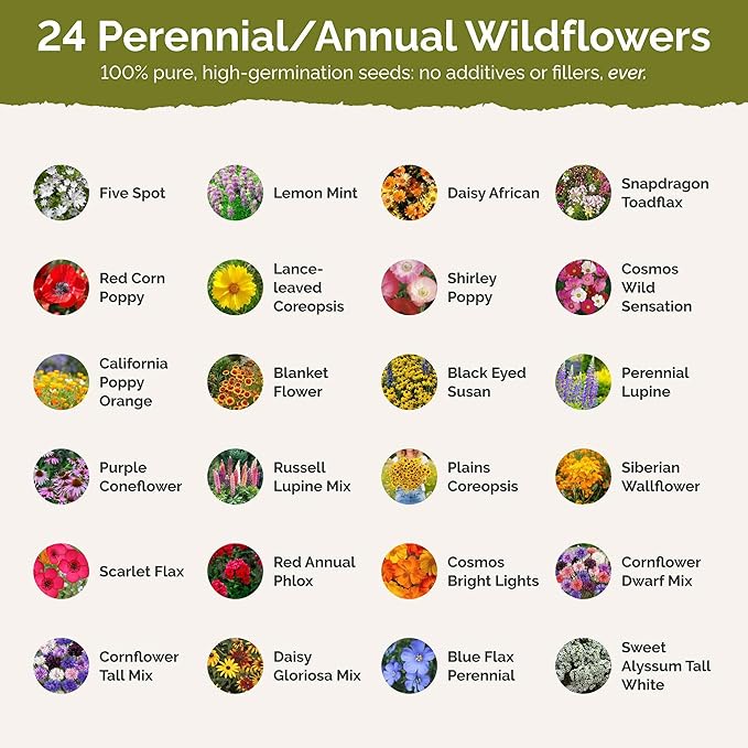 Eden Brothers Tennessee Wildflower Mixed Seeds for Planting, 1 lb, 480,000+ Seeds with Cosmos, Black Eyed Susan | Attracts Pollinators, Plant in Spring or Fall, Zones
