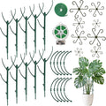 Monstera Plant Support Stakes, 30 Pcs Stackable Plant Support Stakes Sticks Poles for Indoor & Outdoor Plants, Climbing and Potted Plants, Stem Supports, Pothos