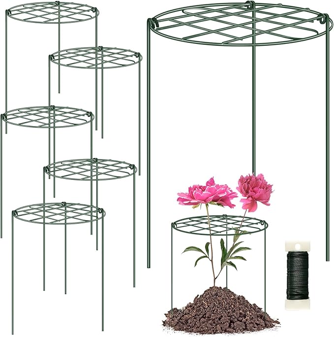 NNG 6 Pack Peony Cages and Supports 12 x 16 Inch Grow Through Plant Supports for Outdoor Plants,Plant Brace Flower Support Rings Hoops for Vegetables,Rose,Tomato,Orchids