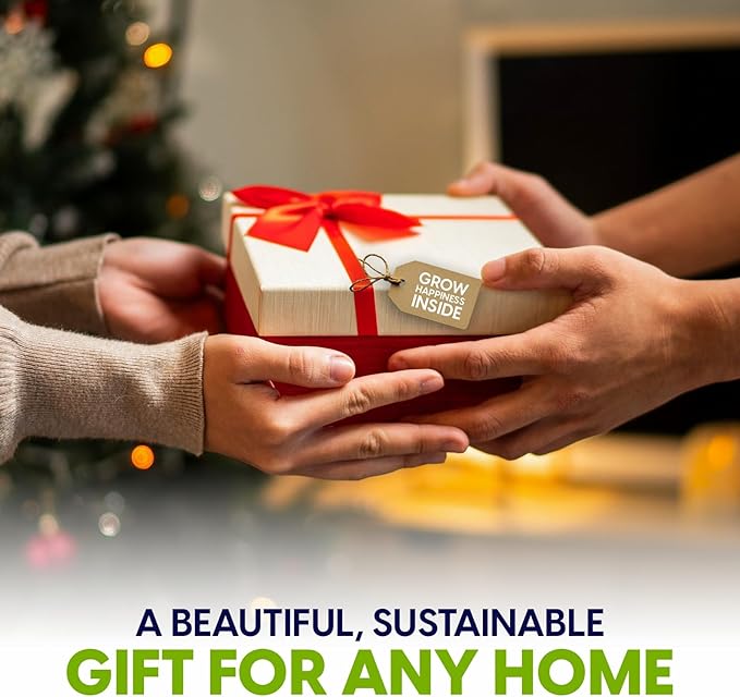 ZESTIGREENS Ceramic Microgreens Growing Kit to Grow 3 Crops Including Organic USDA Sunflower, Melon & Mixed Microgreens Seeds.