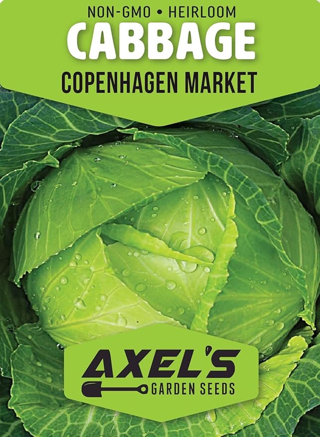 Copenhagen Cabbage Seeds for Planting – Plant & Grow Heirloom Copenhagen Cabbage in Home Outdoor Vegetable Garden, Brassica oleracea VAR. capitata – 1 Packet Approx 200 Seeds