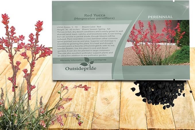 Outsidepride Red Yucca Seeds for Planting - 25 Pcs Drought Tolerant Flower Seeds with Evergreen Foliage & Pollinator-Friendly Flowers, for Xeriscaping, Dry or Sandy Landscapes