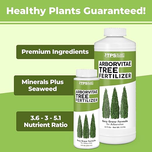 Arborvitae Tree Fertilizer for All Arborvitaes, Evergreen Shrubs and Thuja Trees, Liquid Plant Food, 32 oz (1 Quart)