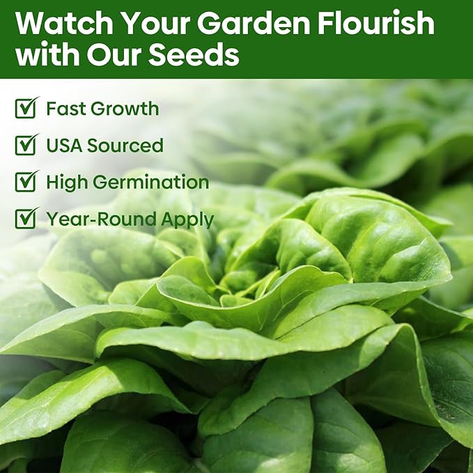Groundio Lettuce Seeds, 5 Varieties Salad Greens Seeds, Non-GMO Heirloom Seeds for Planting Outdoor, Indoor or Hydroponic - Buttercrunch Lettuce, Romaine, Arugula, Kale and Spinach