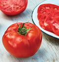 Burpee 'Rutgers' Heirloom Slicing Tomato 125 Non-GMO Seeds