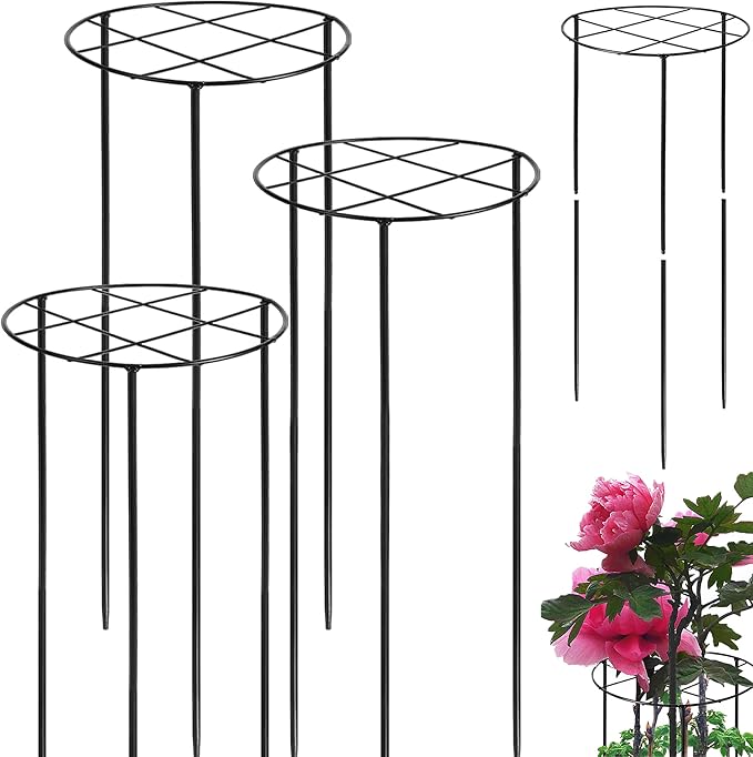 3 Pcs 31.5"H x 12.6"D Peony Cages and Supports, Large Grow Through Plant Support Cage for Outdoor Plants, 7mm Heavy Duty Metal Peony Support Grid Stake Garden Plant Rings Hoops for Large Peonies Roses