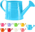 Tinplate Watering Kettle, 1L Metal Garden Watering Can, Vintage Sprinkling Can for Flowers, Indoor & Outdoor Plants, Lawn & Garden Irrigation Tool (Blue)