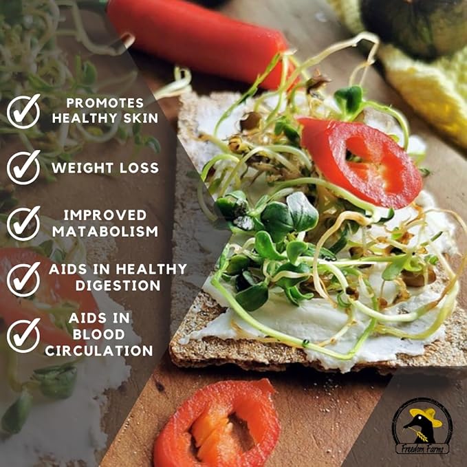 1 lb Salad Style Bean Sprout Starter Seeds - 46 Servings per Bag! - Non-GMO Organic - Sprouting Mix - Includes Alfalfa, Broccoli, Radish, Mung, and Green Lentil