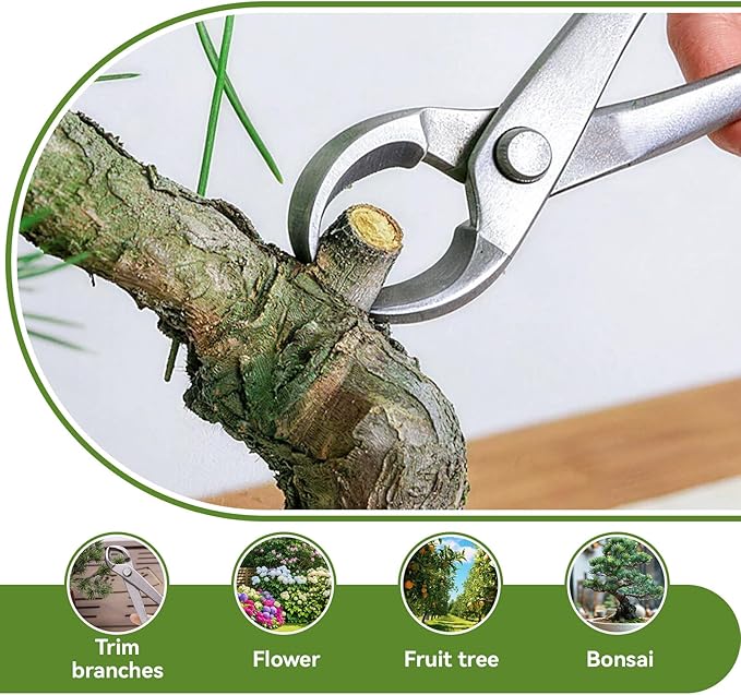 Bonsai Cutters, 8.5inch Concave Bonsai Cutters and Knob Cutters Stainless Steel Tree Branch Cutter Concave Cutter Bonsai Tools for Bonsai and Gardening Pruning