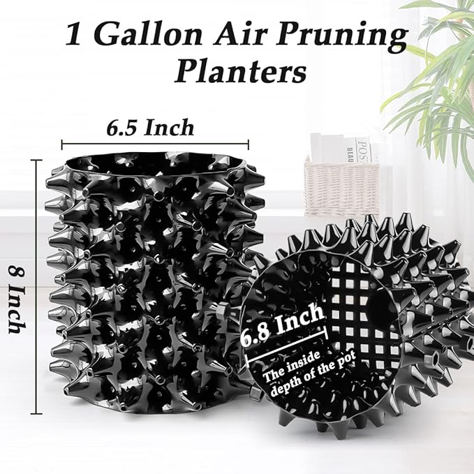 RooTrimmer 1 Gallon Air Pruning Containers, New Plastic Nursery Pots, Fruit Vegetable Garden Self-Planting Pots, Black (1G-10P)