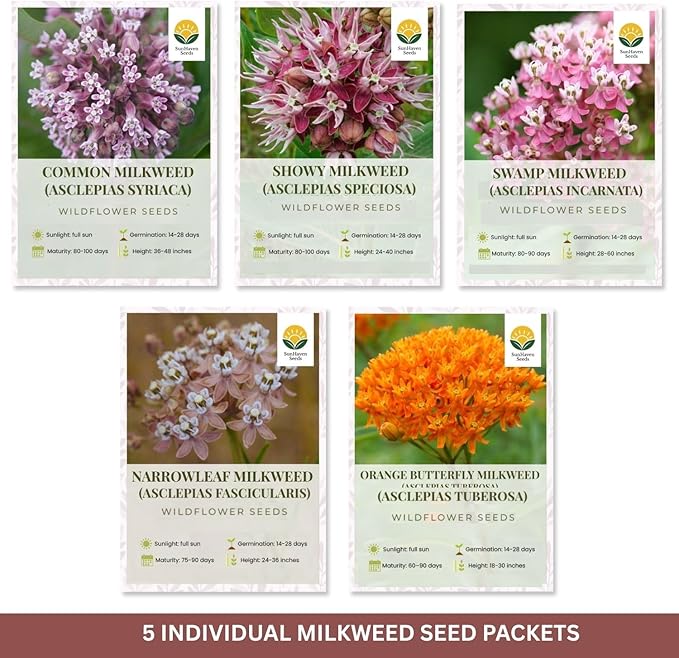 Native Milkweed Variety Pack - 5 Essential Species for Monarch Butterfly Gardens - Common, Swamp, Butterfly Weed, Showy & Narrowleaf - Non-GMO Native Wildflower Seeds for Pollinators