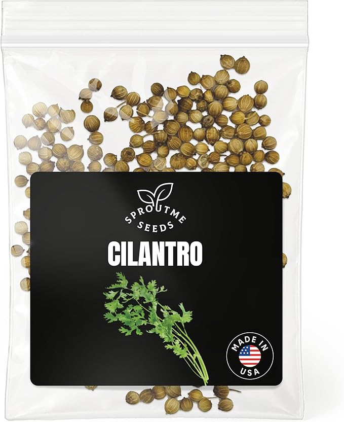 Cilantro Slow Bolt Seeds for Planting – 200+ Non-GMO Heirloom USA-Grown Fast Growing Culinary Herb for Indoor and Outdoor Gardens (Coriandrum sativum)