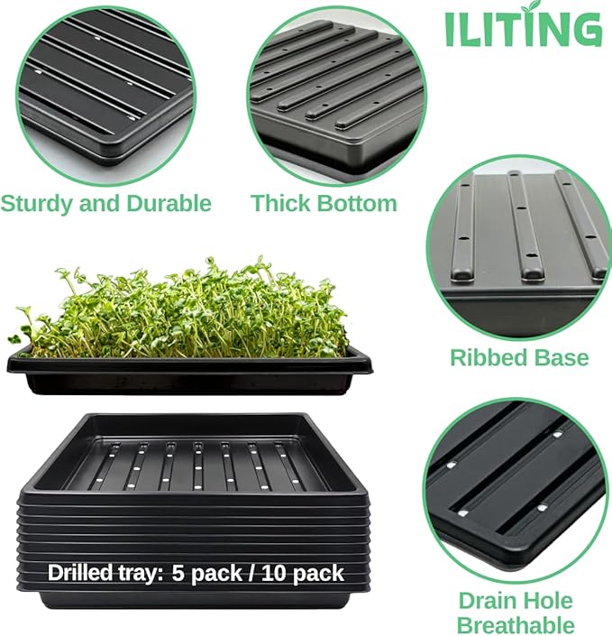 Plant Growing Seed Starter Trays for Seedlings Microgreen, Shallow Plants Tray Standard 1010 Tray with Drain Holes 5 Pack Black 10.7 x 10.7 inches Square Trays