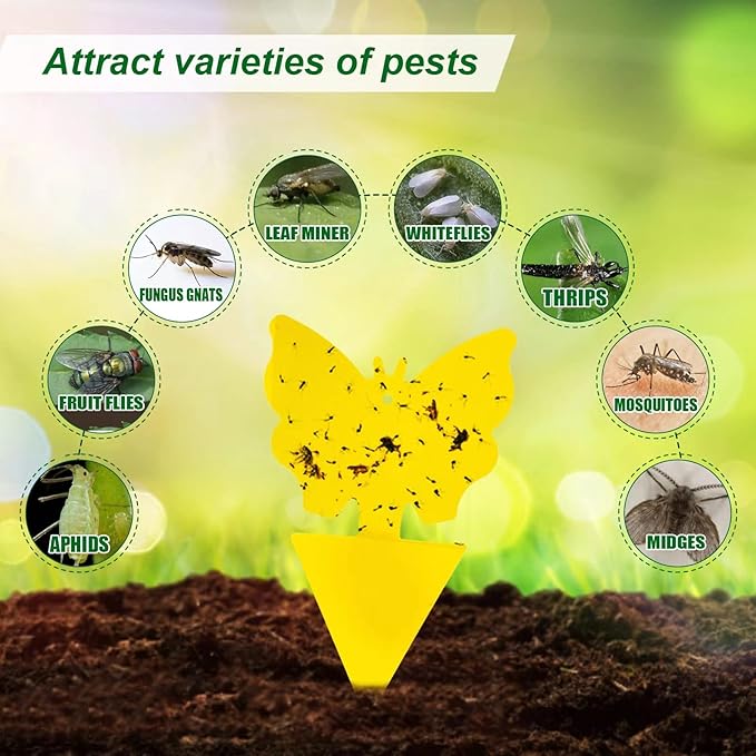 48 Pcs 4 Shapes Yellow Extremely Sticky Traps for Fungus Gnat, Fruit Fly, Fly, Whitefly, Flying Insect Catcher Traps for Houseplants, Kitchen, Indoor/Outdoor, Non-Toxic, Odorless, Pet & Kid Safe