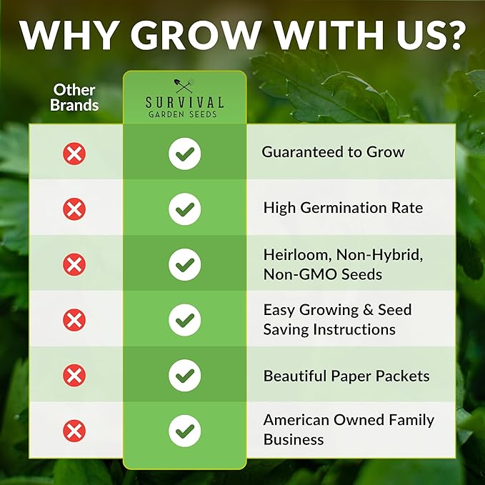 Survival Garden Seeds - Black Beauty Zucchini Seed for Planting - 1 Pack with Instructions to Plant & Grow Dark Green Summer Squash Plants in Your Home Vegetable Garden - Non-GMO Heirloom Variety