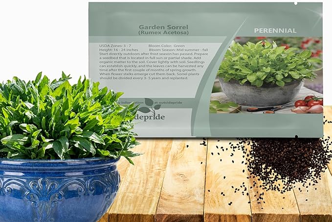 Outsidepride Sorrel Seeds - 10,000 Pcs Perennial, Easy-to-Grow, Drought and Frost Tolerant Herb & Microgreens for Culinary Use, Pollinator Gardens, and Outdoor Landscaping