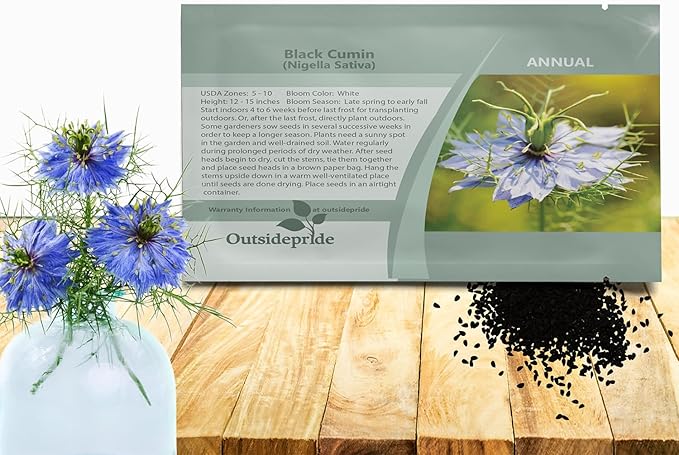 Outsidepride Black Cumin Seeds for Planting - 1000 Pcs Annual, Aromatic Spice, Easy to Grow, Flavorful Seeds for Culinary & Traditional Spice and Herb Gardens, Versatile & Low-Maintenance