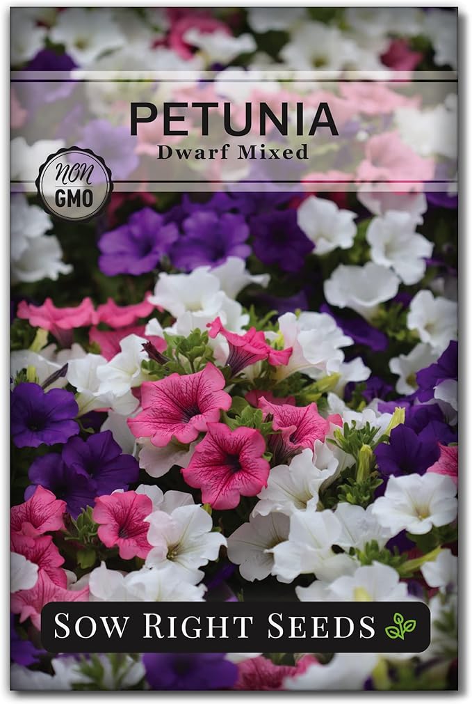 Sow Right Seeds - Dwarf Mixed Petunia Seeds to Plant - Full instructions for Planting and Growing a Flower Garden - Non-GMO Heirloom Seeds - Annual Hanging Basket Flower - Wonderful Gardening Gift (1)
