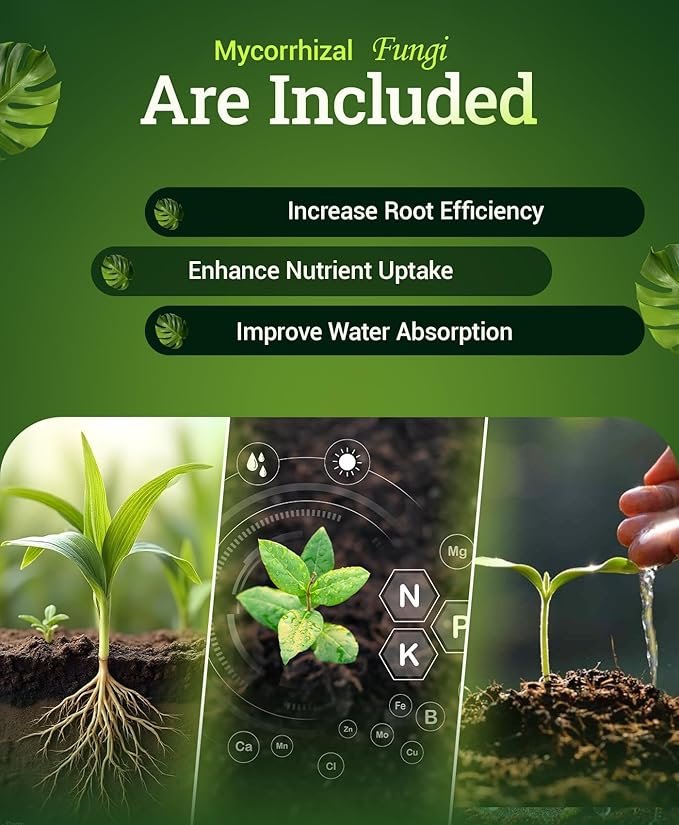FoxFarm Happy Frog Acid Loving Plants Fertilizer - Organic Slow Release Fertilizer for Azaleas, Rhododendrons, Blueberries & More - Contains Mycorrhizal Fungi & Soil Microbes - OMRI Listed - 4 lb