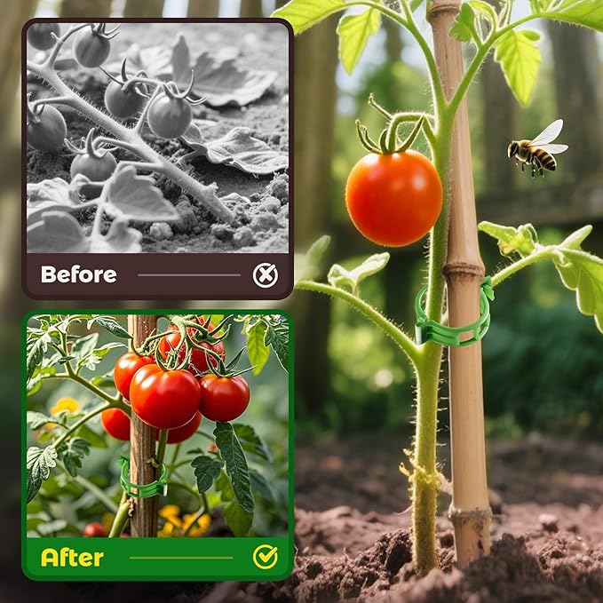 100pcs Tomato Clips for Climbing plants, Plastic Trellis Plant Support Clips for Garden, Reusable Clips for Supporting Grape Tomato Vine and Vegetables Plants to Grow Upright Makes Plants Healthier