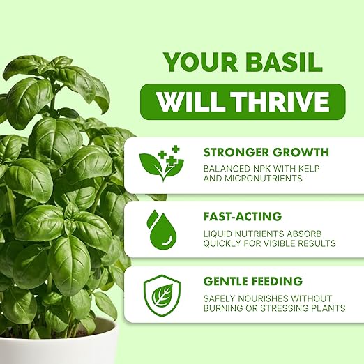 Basil Fertilizer for Basil Plant, Great for Mint, Rosemary, and Thyme, Liquid Fertilizer by TPS Plant Foods, 32 oz (1 Quart)