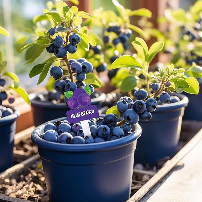 Whaline 22Pcs Acrylic Vegetable Plant Label Signs 22 Styles Funny Cartoon Garden Markers Waterproof Potted Plant Stake Tags with Names for Nursery Indoor Outdoor Garden Decoration