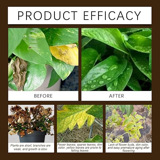Soil Pro Activator for Plants, Soil Activator Mineral Source, Soil Improvement Loosening Agent, Plant Growth Enhance Supplement, Unlock Explosive Plant Growth (60g 1pcs)
