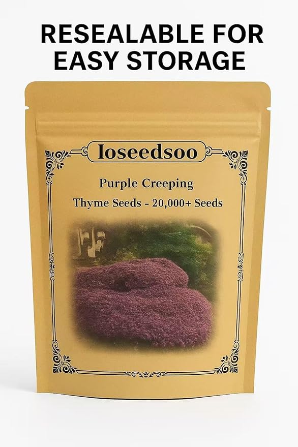 20000+ Creeping Thyme Seeds for Planting -Perennial Ground Cover Plants Flowers Non-GMO Heirloom (Purple)