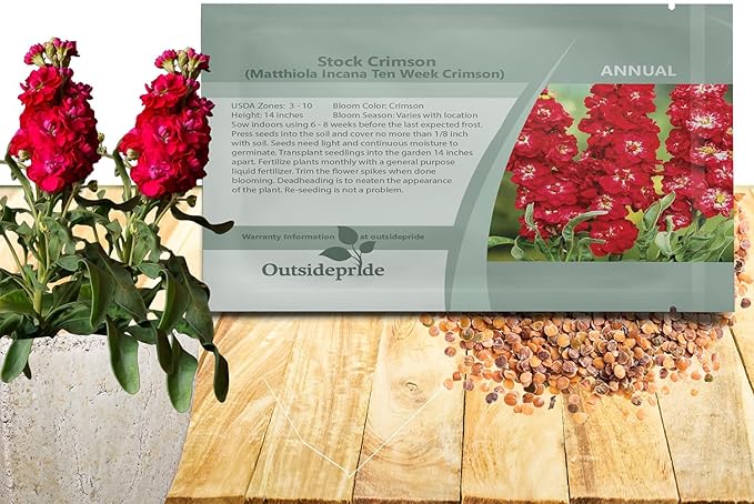 Outsidepride Ten Week Crimson Mattiola Stock Seeds - 2000 Pcs Annual Flower Seeds for Planting with Fragrant Blooms That Attract Pollinators, Compact Growth, for Cut Flower Arrangements & Containers