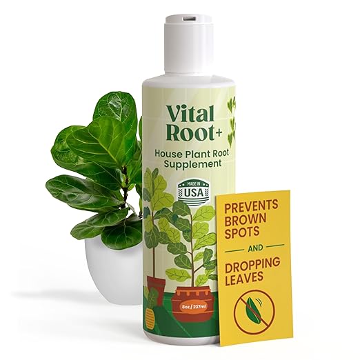 Root Rot Treatment & Plant Transplant Shock Recovery – Liquid Supplement for Indoor Plants, Fiddle Leaf Fig, Monstera & Pothos | Heals Roots, Prevents Brown Spots & Leaf Drop, 8 oz – Vital Root+