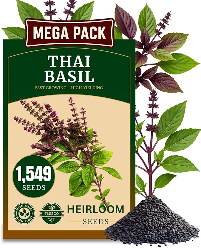 1549+ Thai Basil Seeds, Non-GMO Herb Seeds for Planting - Fast Growing, High-Yield, & Authentic Flavor - (Ocimum basilicum VAR.thyrsiflora)