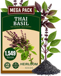 1549+ Thai Basil Seeds, Non-GMO Herb Seeds for Planting - Fast Growing, High-Yield, & Authentic Flavor - (Ocimum basilicum VAR.thyrsiflora)