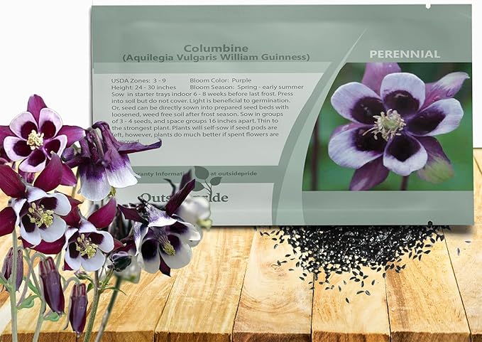 Outsidepride William Guinness Columbine Seeds - 1000 Pcs Perennial, Easy to Grow Flower Seeds for Planting, Suitable for Pollinator-Friendly Garden, Cut Floral Arrangements, Ground Covers, or Borders